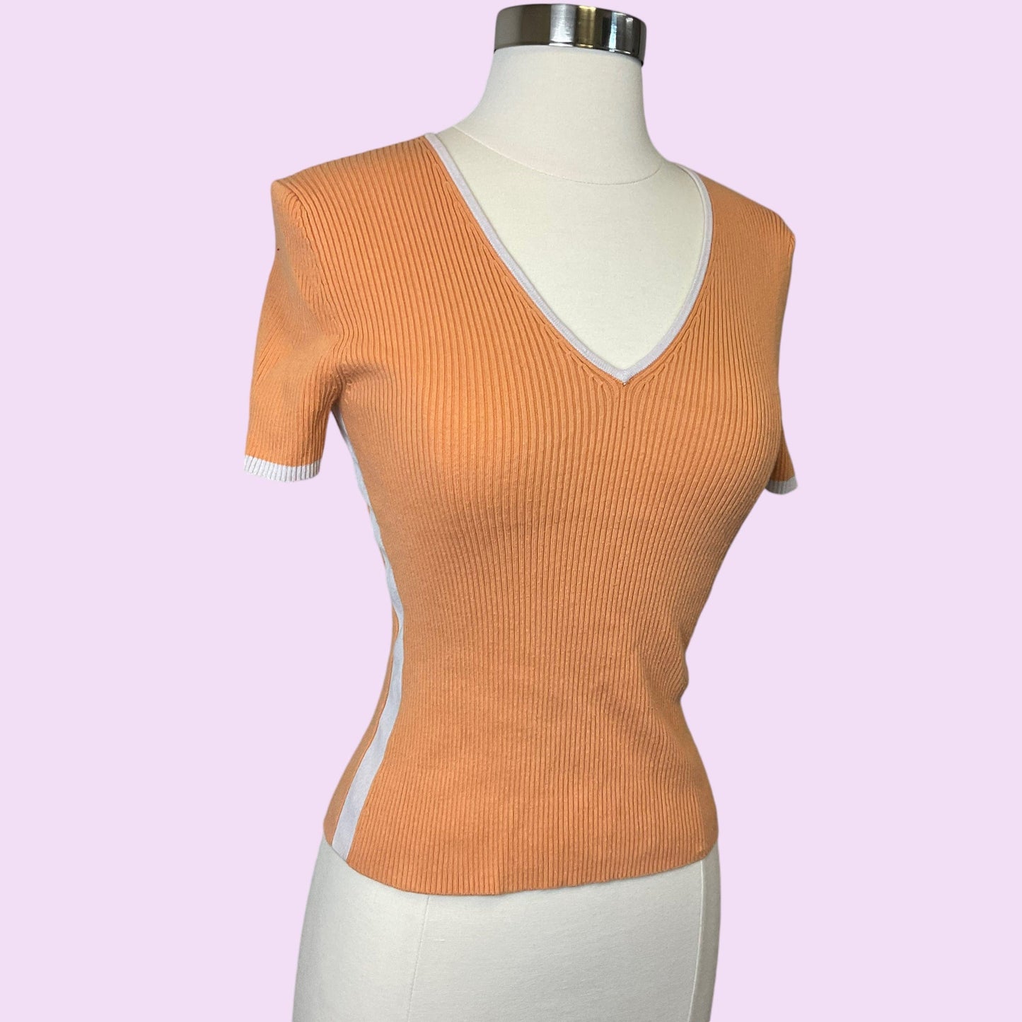 Y2K Ribbed Basic V-Neck Top