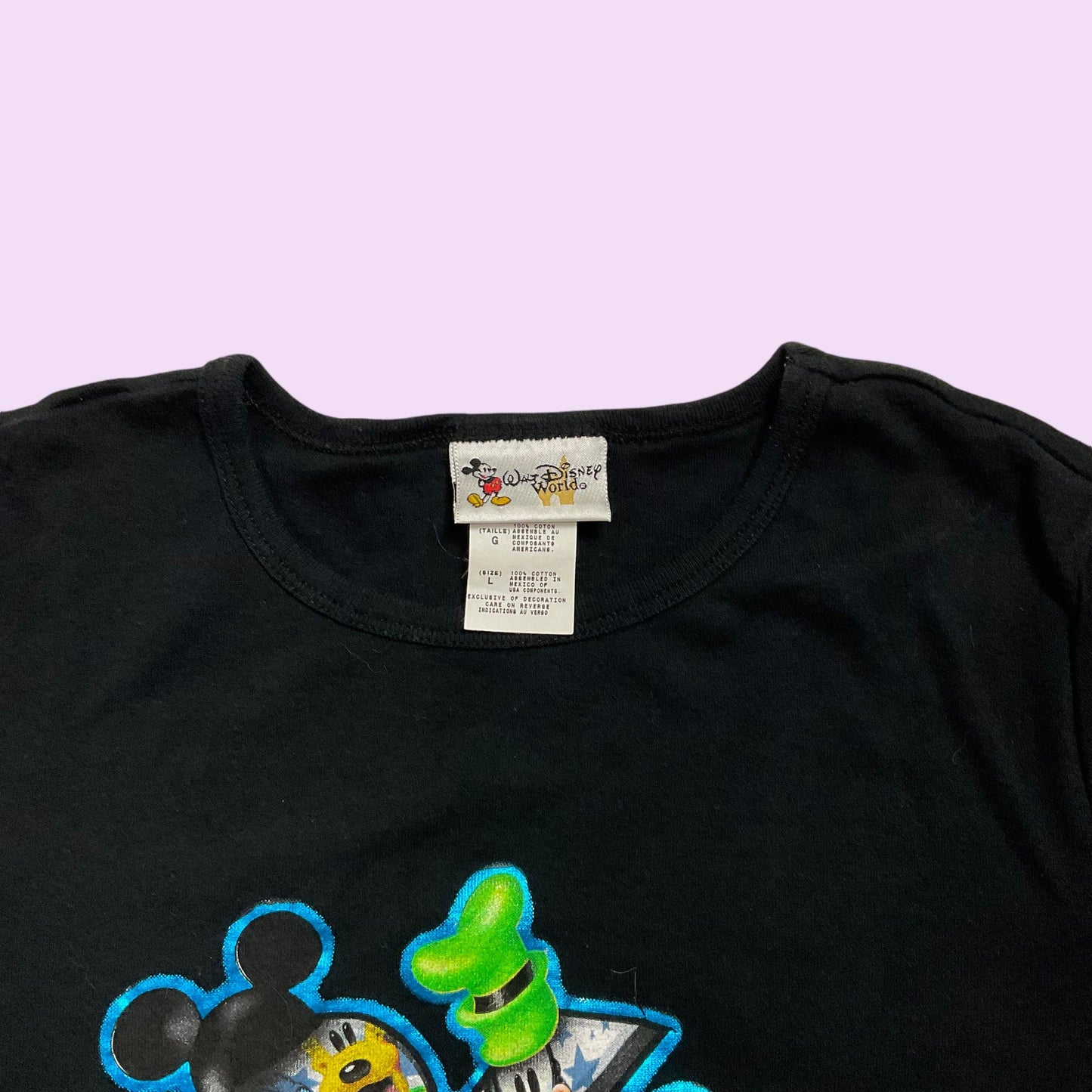 Y2K Graphic Disney World Top