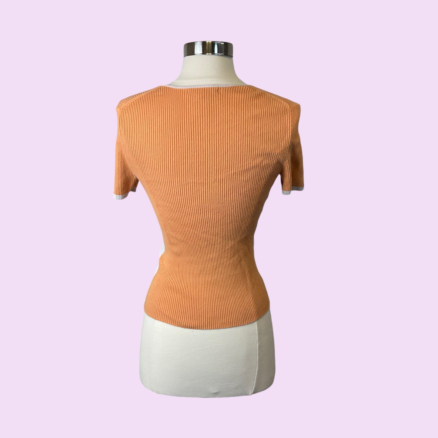 Y2K Ribbed Basic V-Neck Top