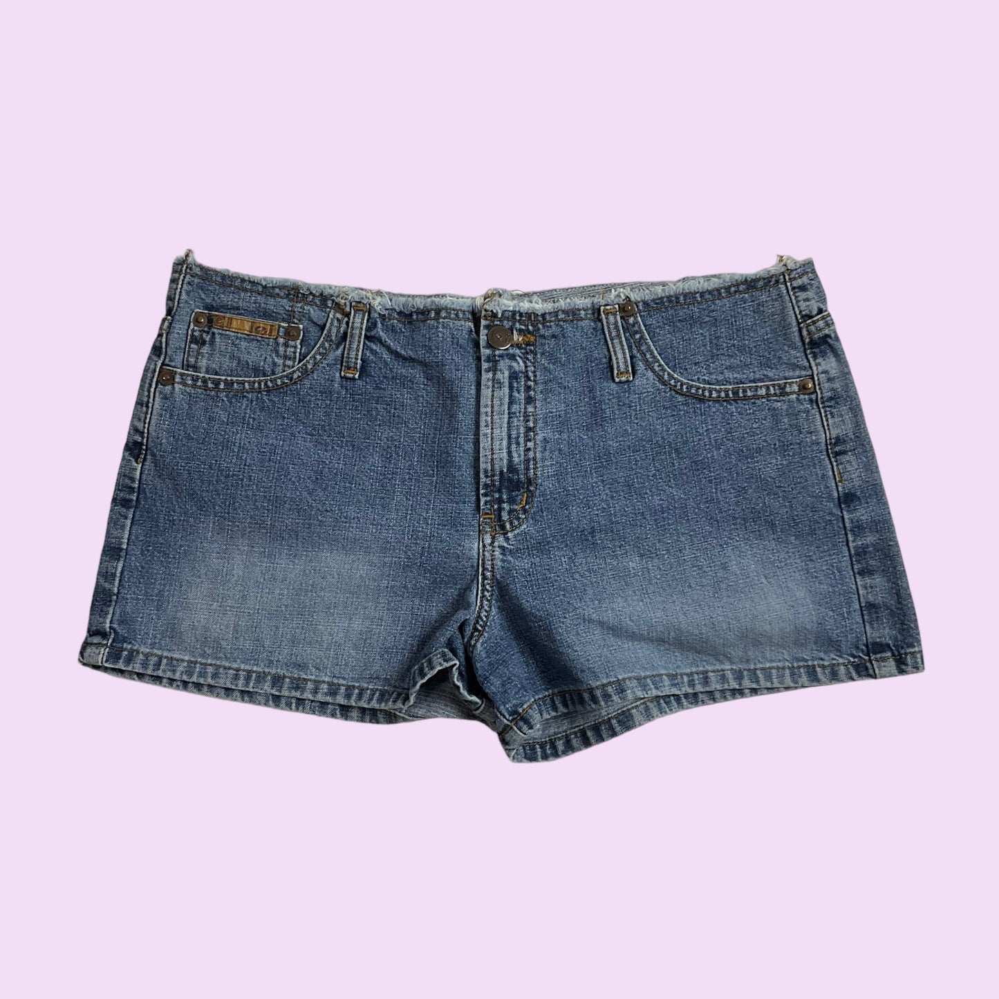 Vintage Y2K Distressed Denim Shorts