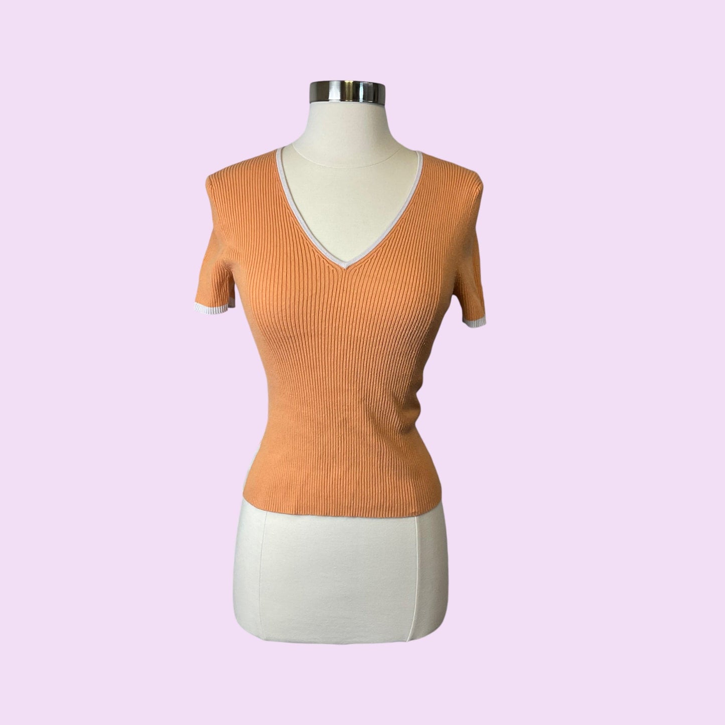 Y2K Ribbed Basic V-Neck Top